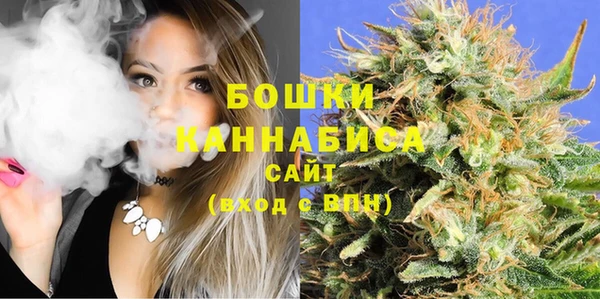 индика Апатиты