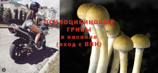 гидра Белоозёрский