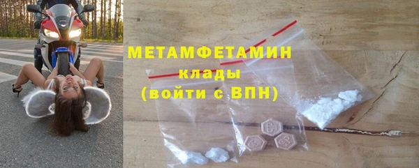 индика Апатиты